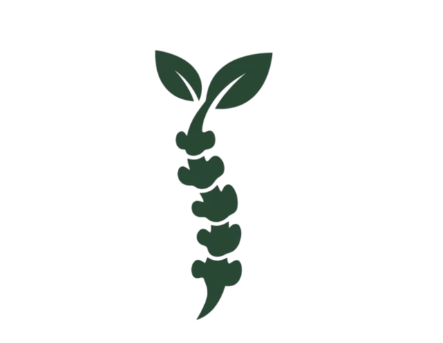 Vibra Chiropractic logo