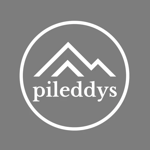 PILEDDYS logo