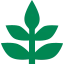 Mill Springs Academy logo