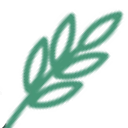 Coastal Allergy & Asthma logo