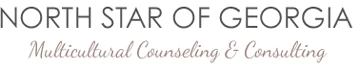 North Star of Georgia Counseling & Consulting logo